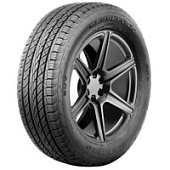 Antares Majoris R1 285/45 R22 114V XL